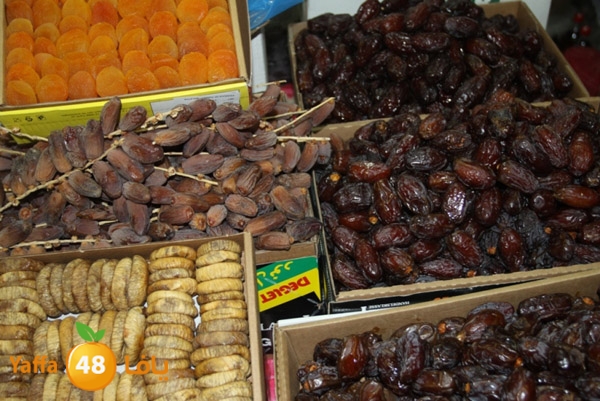 zhra2 tamer 705 (2).JPG